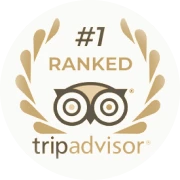 Altezza Travel – Tripadvisor Travellers' Choice 2026 -palkinnon voittaja