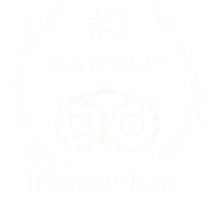 Altezza Travel on Tripadvisorin sijalla 1