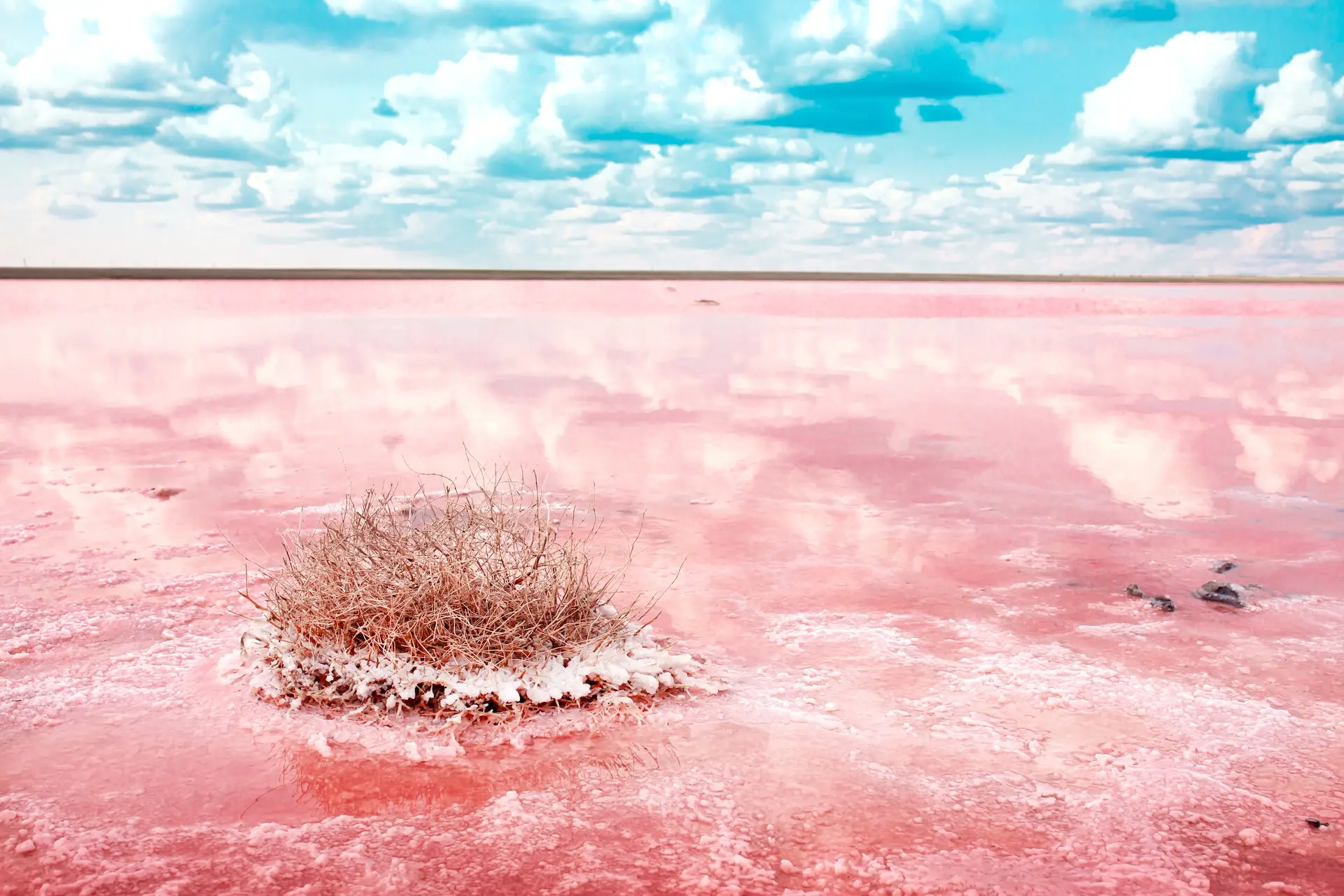 Kuivakaudella järvi muuttuu punaiseksi ja peittyy suolaan. Kuva: Vera Larina / Shutterstock