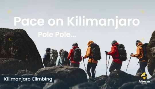 Oikea tahti Kilimanjarolla | Altezza Travel