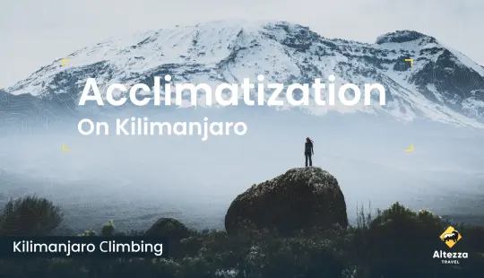 Sopeutuminen korkeuteen Kilimanjarolla | Altezza Travel