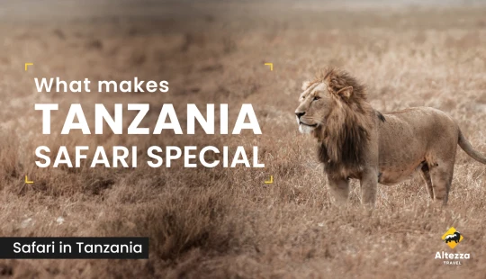 Mikä tekee Tansanian safarista erityisen