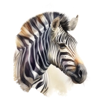 Seepra