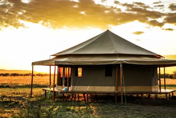 Sound of Silence - Serengeti Sound of Silence - Serengeti